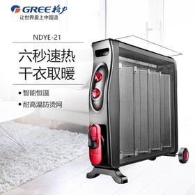 格力取暖器电暖气家用节能省电速热电暖器暖风机办公卧浴室小太阳 NDYE-21
