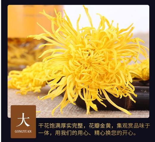 徽珍 帝女花(大皇菊) 9g