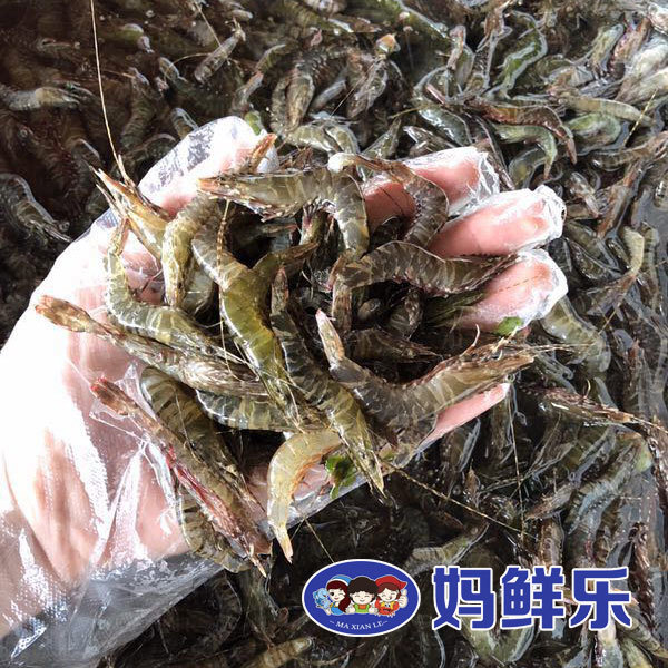 【野生小黑虾】每份250克,市场上买不到的纯野生海虾,活虾急冻,脆甜