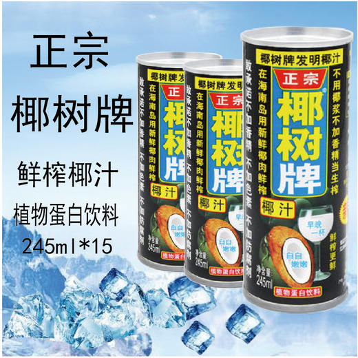 椰树 椰汁正宗椰树牌椰子汁饮料 植物蛋白饮料 商品图3