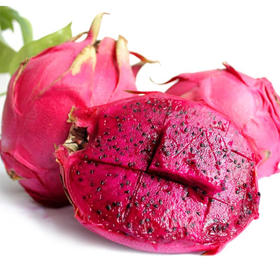 红心火龙果500~550g/个