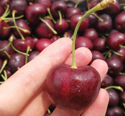 拉宾斯车厘子3勾酱紫色脆而多汁健脾养胃补益肝肾养血