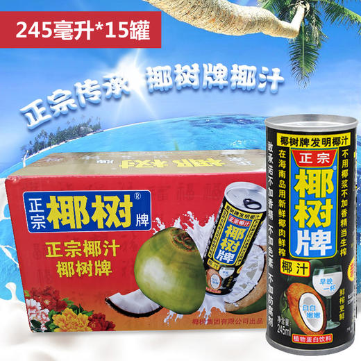 椰树 椰汁正宗椰树牌椰子汁饮料 植物蛋白饮料 商品图2