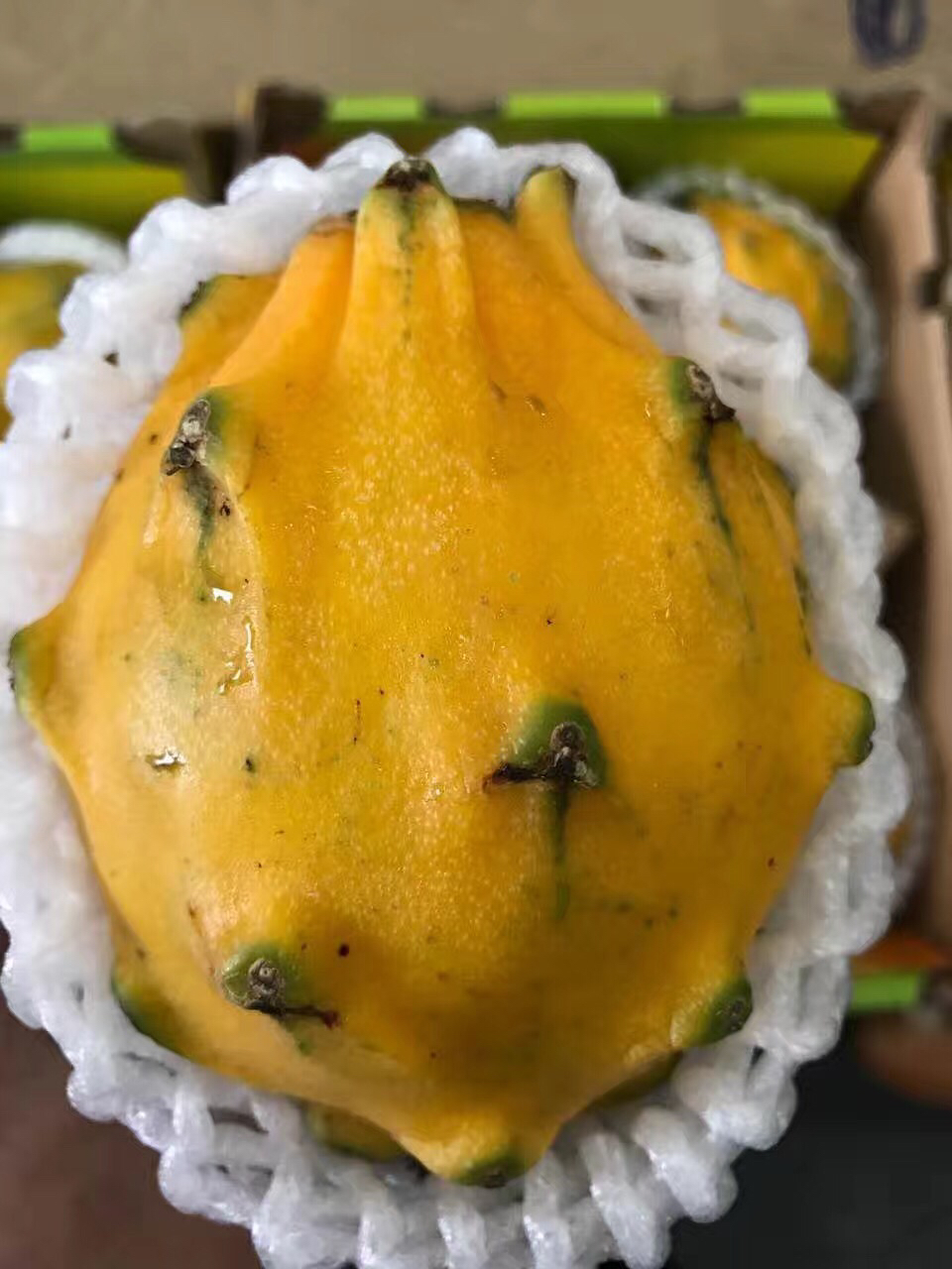 哥伦比亚燕窝果 口感丝滑如燕窝 富含氨基酸及各种微量元素,一直是