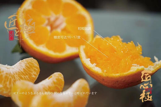 【推荐】晓橘春見 商品图9