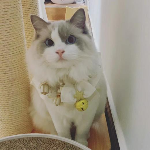 邮费专拍 10元 商品图0