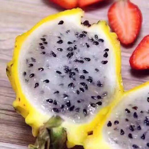 【燕窝果】果中土豪水晶肉质细致嫩如燕窝丝丝果肉清甜多汁 商品图1