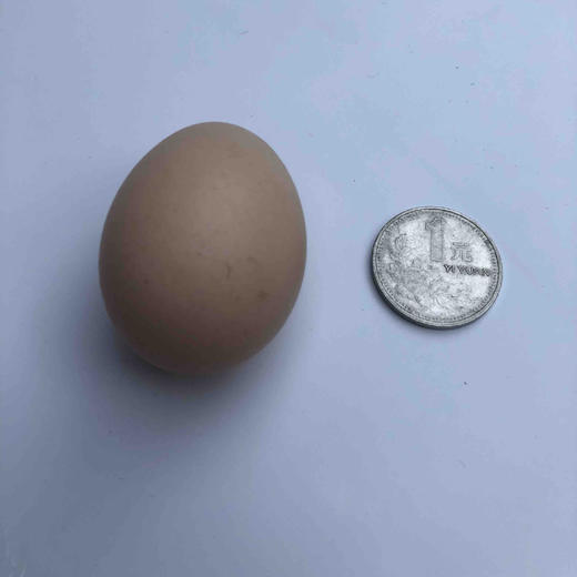 （年终限时回馈）正宗初生蛋30枚 商品图2