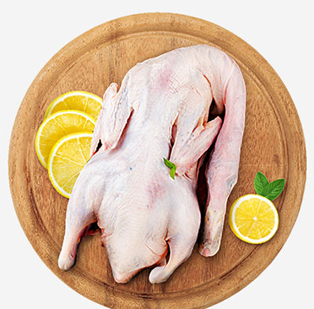 贵州贞丰白条麻鸭