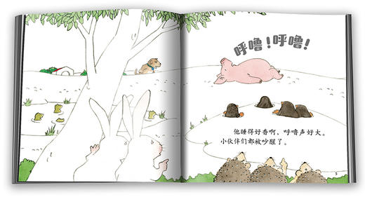 乐悠悠启蒙图画书系列——《怎样叫醒胖小猪》（0-4岁） 商品图4