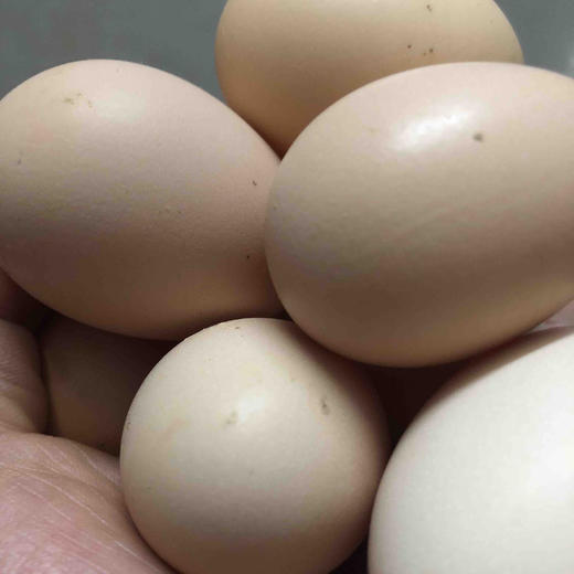 （年终限时回馈）正宗初生蛋30枚 商品图1