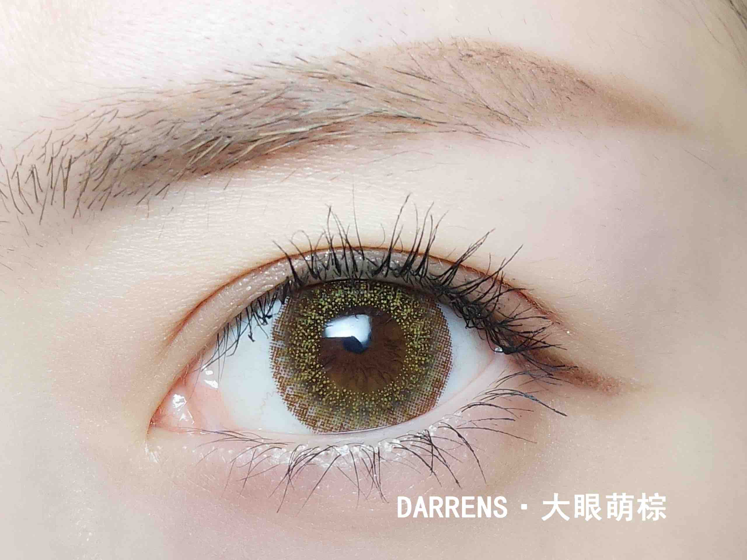darrens大眼萌棕灰年抛型
