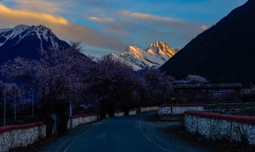 藏东北环线--林芝波密桃花雪山、孜珠寺、然乌湖、萨普神山、纳木错 环线行摄12天 商品图6