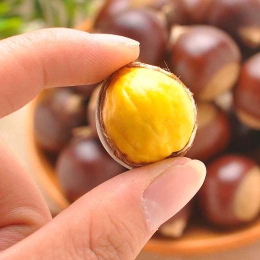 建瓯锥栗 | 白露仔(大仔级)21-24mm/颗 生栗 精挑细选 颗颗饱满 香脆
