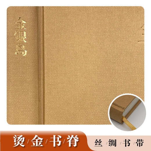 名著名译名绘版 金银岛 商品图2