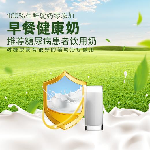 骆驼奶 商品图0