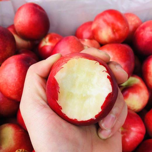 精品油桃 一箱4斤 商品图1