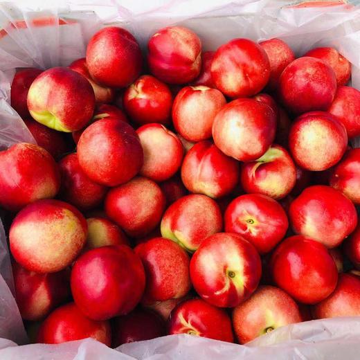 精品油桃 一箱4斤 商品图3