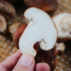 每日现采  密农人家香菇  自然生长  菌肉饱满  口味香浓  
 300g 商品缩略图2