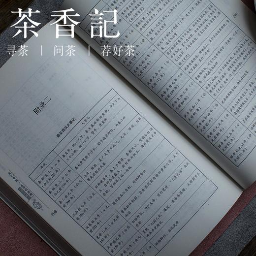茶香记《盛世遗响：<汉书>纵览新说》张昊苏著《汉书》导读  图文并茂 商品图1