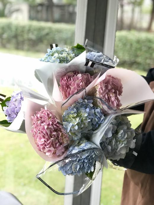 瓶插花混色绣球