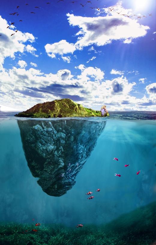 wsc商品评价_1 商品图0