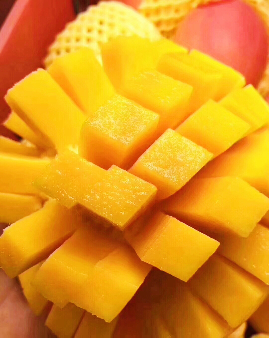 澳大利亚特级mango芒果香气十足口感极致细腻光滑澳洲空运直达ole