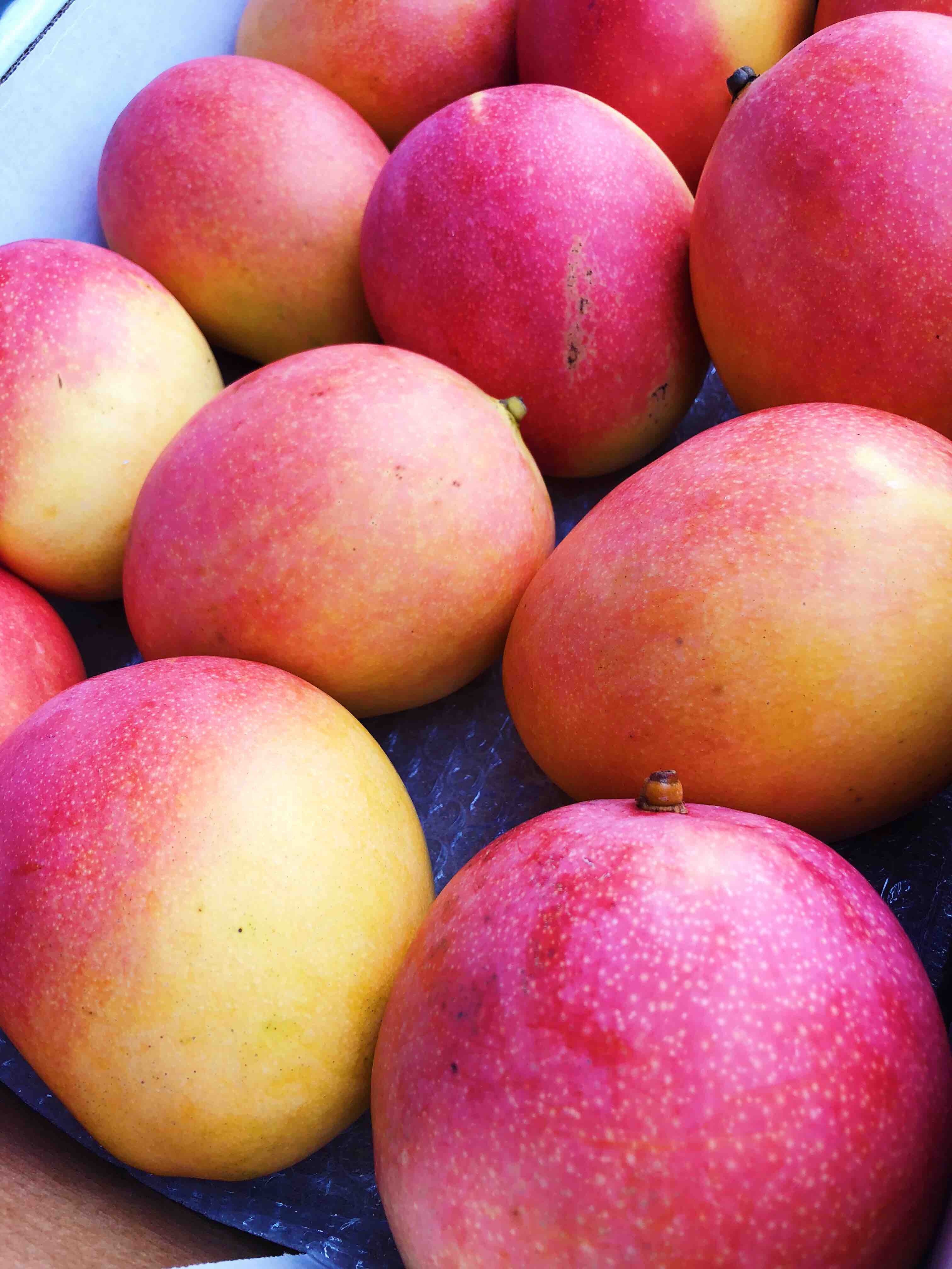 澳大利亚特级mango芒果香气十足口感极致细腻光滑澳洲空运直达ole