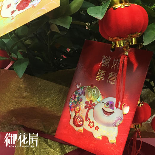 元宝金桔 · 年花盆栽（含花盆） 商品图1