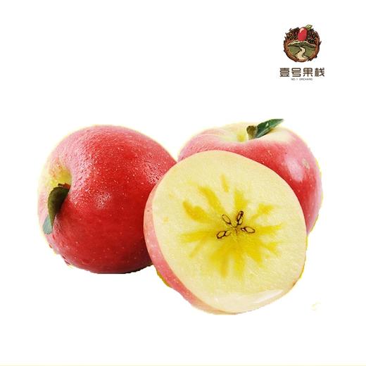 西藏丑苹果 商品图0