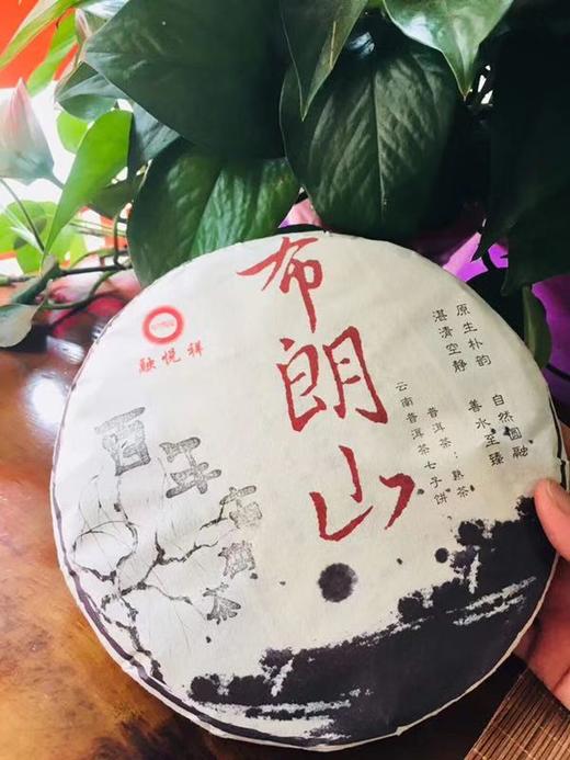 云南布朗古树普洱茶重量约357克