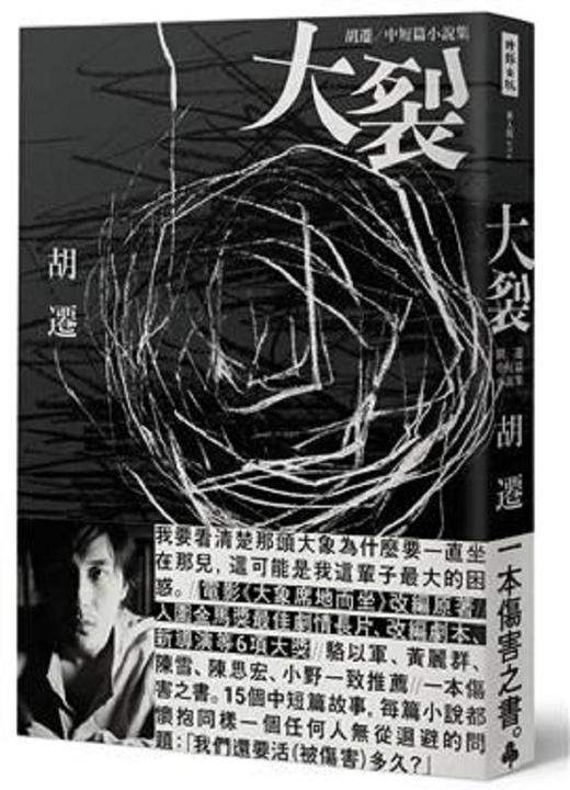 预售 【中商原版】大裂：胡迁中短篇小说集【电影《大象席地而坐》改编原著】港台原版 胡迁 时报 文学小说 华文创作 小说 商品图0