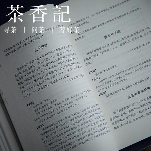 茶香记《月印万川——历代小品禅语》 禅宗公案  中华传世小品 商品图3