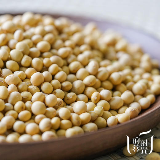 瑶山自种非转基因老品种小黄豆350g/罐 商品图2