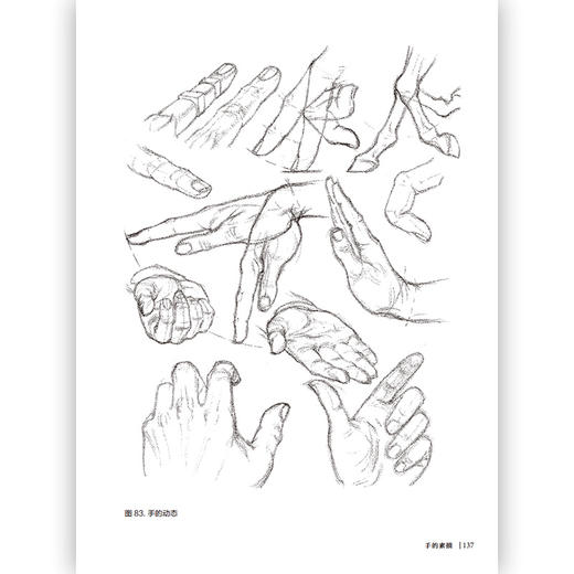 安德鲁•路米斯的素描课Ⅳ 头部和手部的描绘诀窍 商品图2