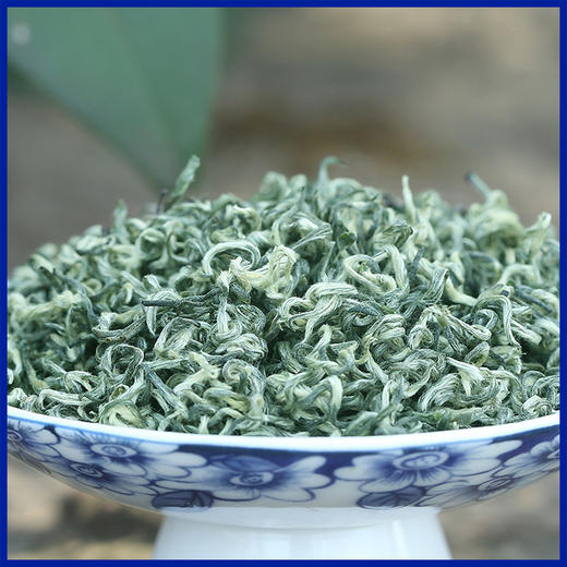 泥巴哥 2026新茶毛尖 碧螺春礼盒 私藏陶瓷罐茶叶250克/套 商品图3