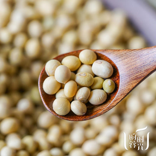 瑶山自种非转基因老品种小黄豆350g/罐 商品图0