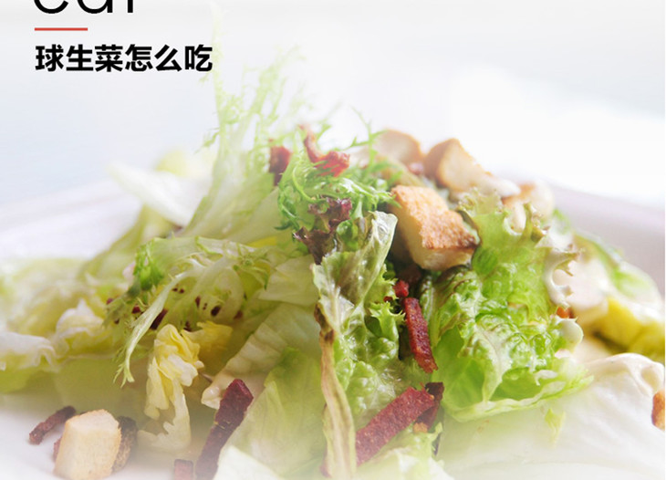 新鲜西生菜圆生菜汉堡沙拉专用蔬菜