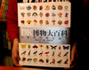 《DK博物大百科》5000物种，6000摄影师作品，623页 商品缩略图4