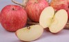 延安李氏大脑袋红富士苹果 商品缩略图1