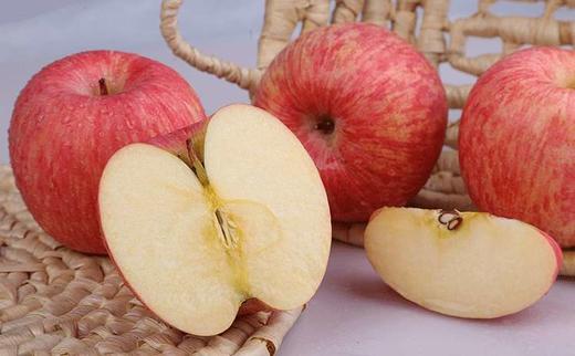 延安李氏大脑袋红富士苹果 商品图2