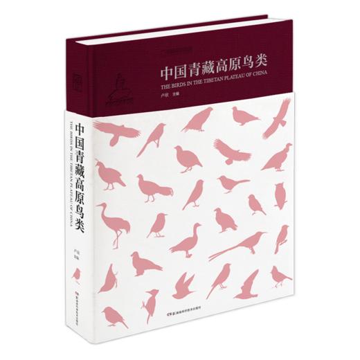 中国青藏高原鸟类 商品图0