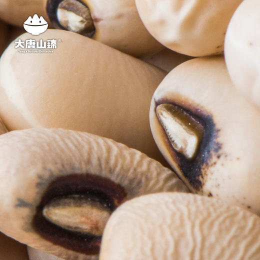 大唐山臻原生种白豇豆850g/罐 商品图4