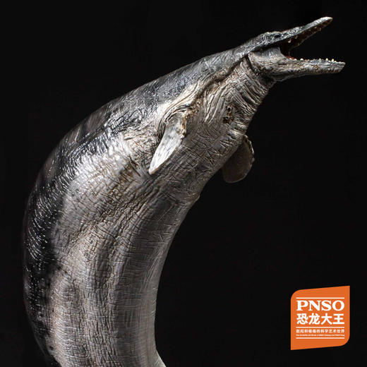 PNSO巨齿鲨巴顿/角鼻龙尼克/大眼鱼龙布鲁克/龙王鲸奥巴恐龙大王成长陪伴模型 商品图5
