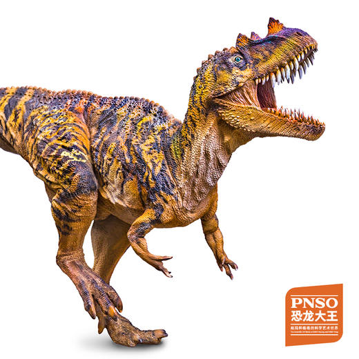 PNSO巨齿鲨巴顿/角鼻龙尼克/大眼鱼龙布鲁克/龙王鲸奥巴恐龙大王成长陪伴模型 商品图3