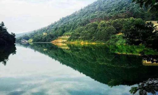 （永久下架）【超值购】四明山观唐6944自由行双人套票 商品图1