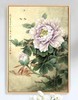 新中式花开富贵牡丹竖版装饰挂画B130 商品缩略图5