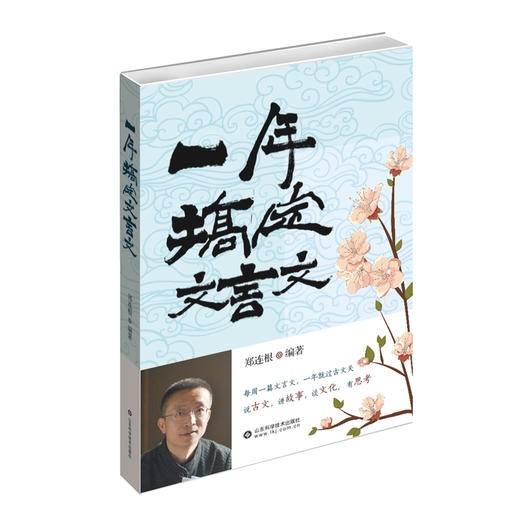 一年搞定文言文 商品图0