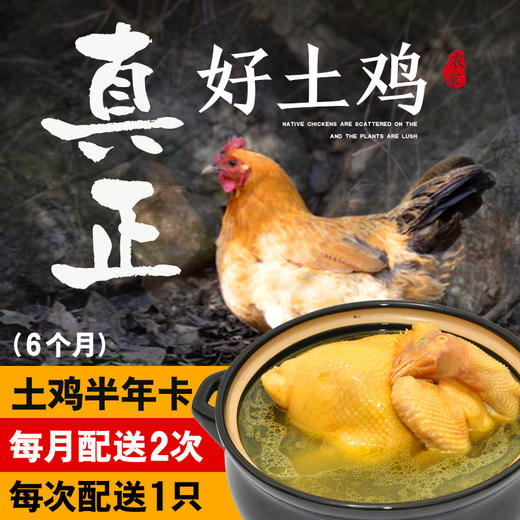 土鸡半年卡丨12只原耕正宗散养土鸡按月配送，活鸡现杀 商品图0