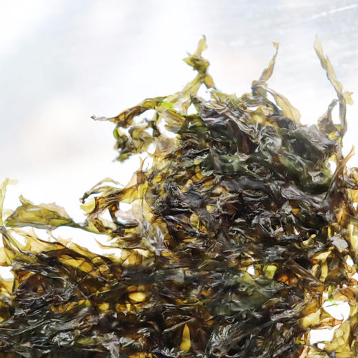 头水坛紫菜 | 新割头茬紫菜 只取头水一份鲜 无沙免洗 入口味鲜不咸 柔软顺滑 干货 商品图2